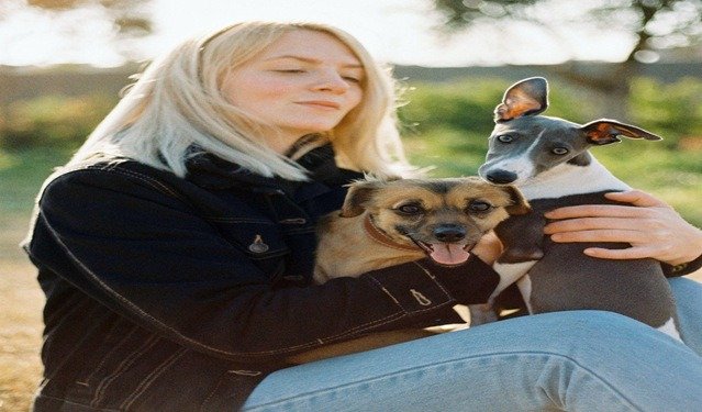 7 Products To Enhance Your Dog's Travel Experience