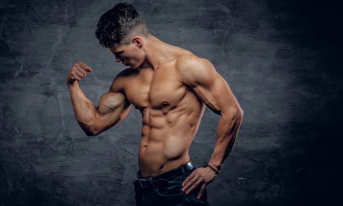 Benefits of Enclomiphene for Muscle Growth