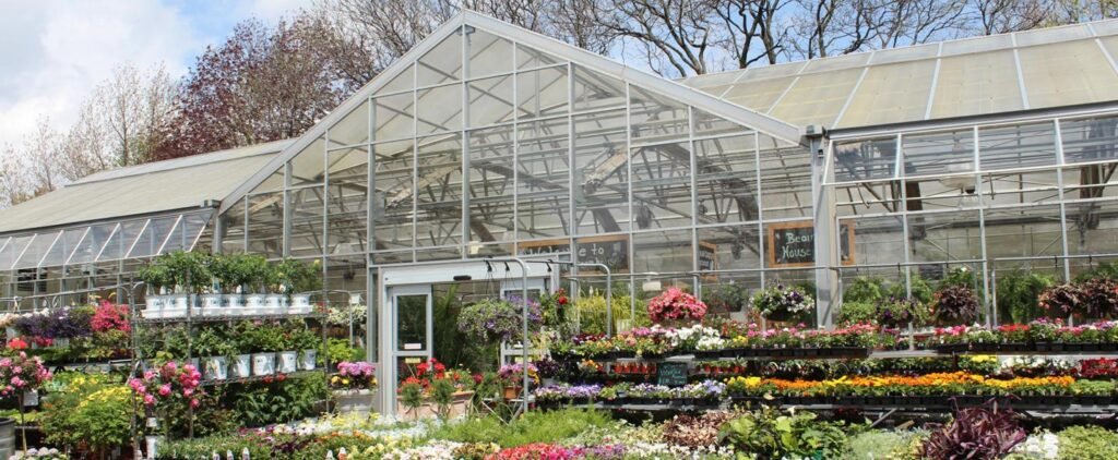 beautiful view of greenhouse