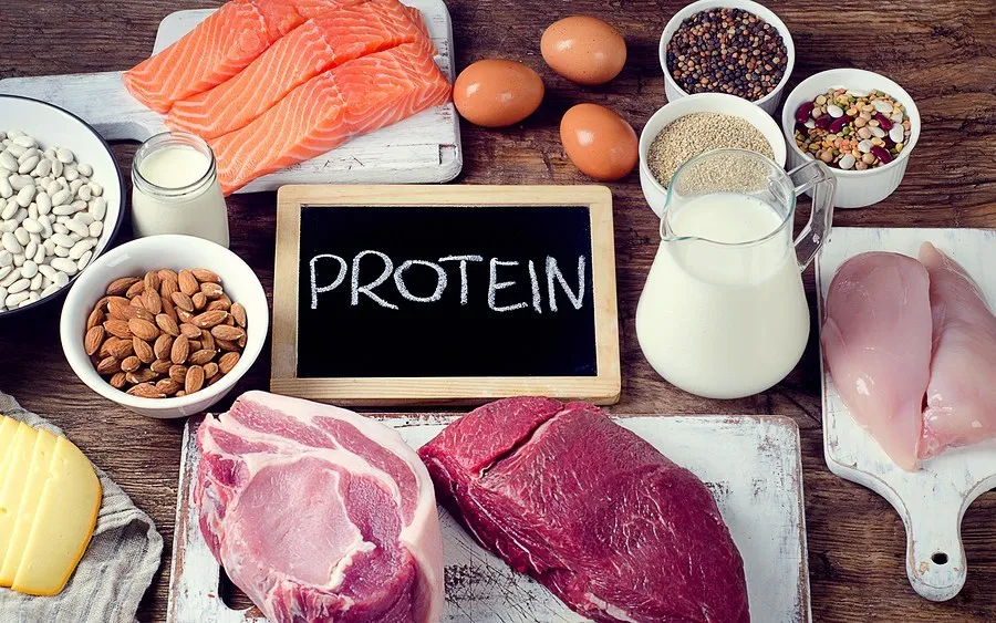 Protein