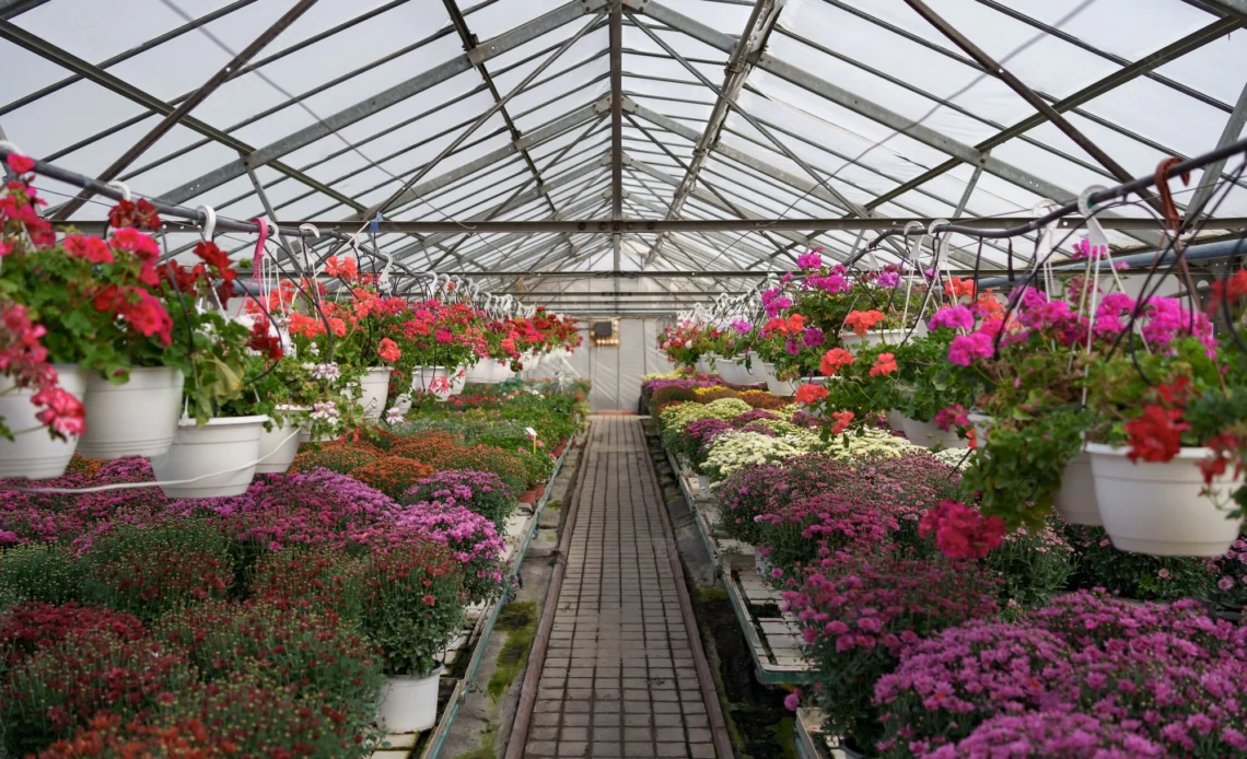 how greenhouse works?